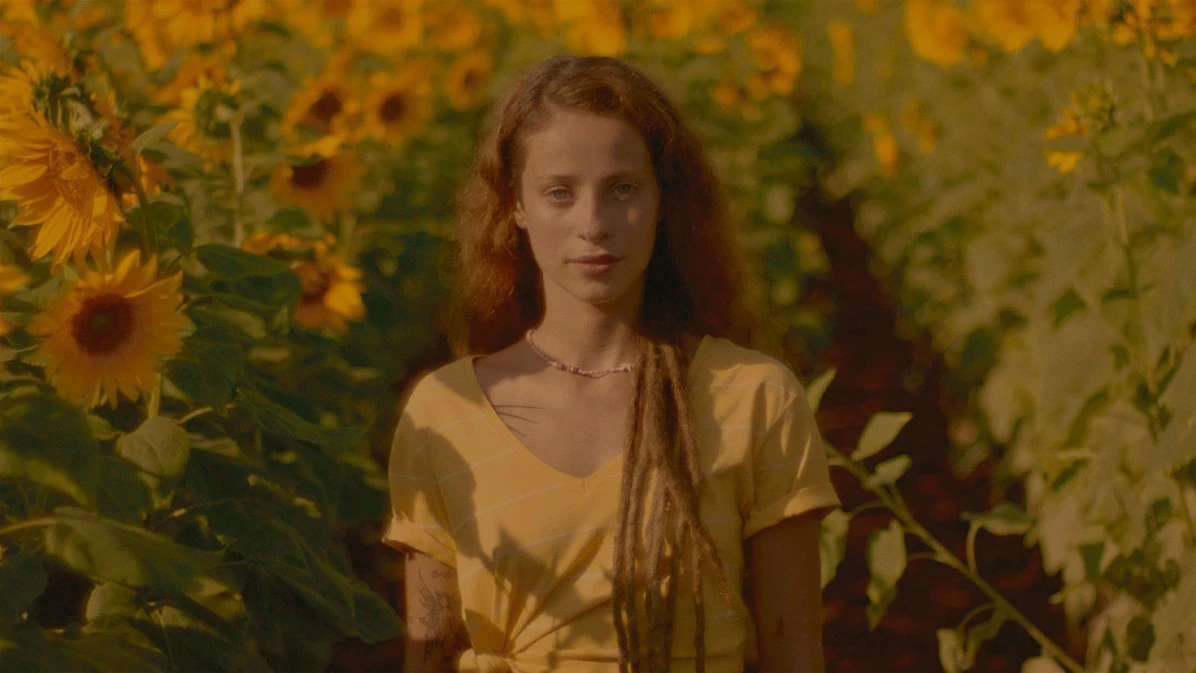 vida à flor da pele — Veiling Holambra